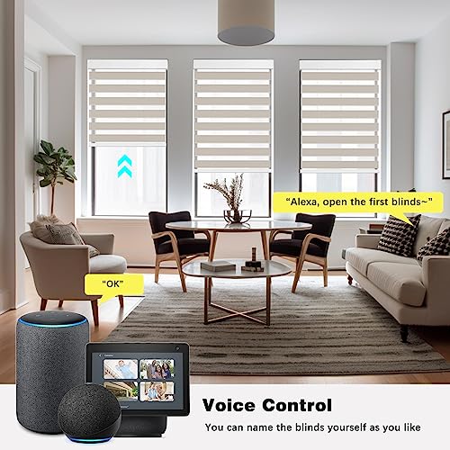 Image of Changshade Smart Zebra Roller Blinds Motorized Shades Work with Alexa, Window Shade Intelligent Electric Automatic, JZCMD-RBS-BG-DNA, Beige(blackout) (MYDY25Z-1)