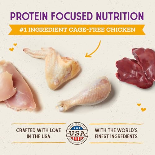 Stella & Chewy's Raw Coated Cat Food - High Protein, Grain-Free Kibble with Cage-Free Chicken - Premium Digestive Support with Probiotics - Natural Small Kibble - Perfect For Picky Eaters - 2.5lb Bag - image 2