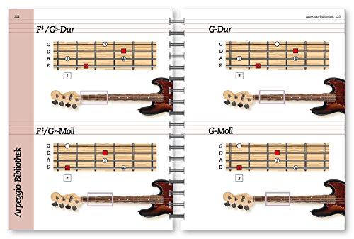Bass. Der Komplettkurs, m. Audio-CD: Von den Grundlagen bis zum Einstieg in die erste Band