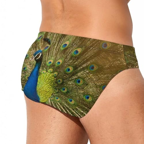 Peacock Show Mens Swim Briefs Bikini Sexy Low Rise Trunks Swimsuit Bathing Suit Beach3