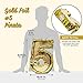 Gold Foil Number 5 Pinata for 5th Birthday Party Decorations, Centerpieces, Anniversary Celebrations (Small, 15.5 x 10.5 x 3 in)