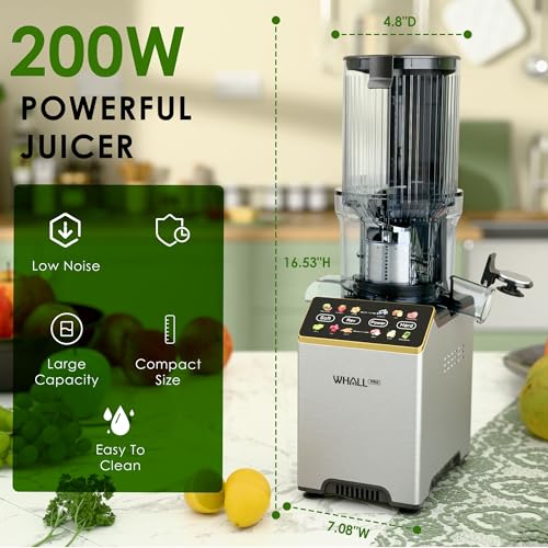 Image of Cold Press Juicer, Touchscreen Juicer Machines with Wide Feed Chute, Stainless Steel Masticating Juicers Easy to Clean, Ergonomic Operational Panel Design, High Juice Yield, Steel