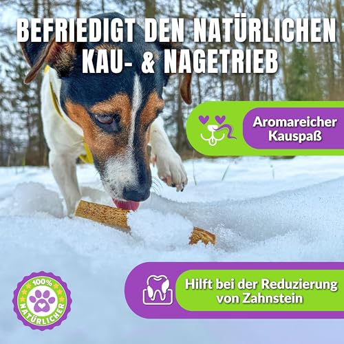 Naturbiss Hundezigarren aus HÄHNCHEN - 20 Stück (12 cm) - Barf Leckerlis Hypoallergen & Getreidefrei Zigarre - Monoprotein, 98% Muskelfleisch Rollen - Hähnchenfleisch Trockenbarf für Hunde