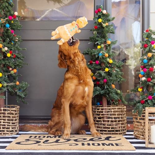 Fringe-Studio-Pet-Toy-Cookie-Saurus-Rex-Plush-Dog-Toy-PetShop-Collection-314078