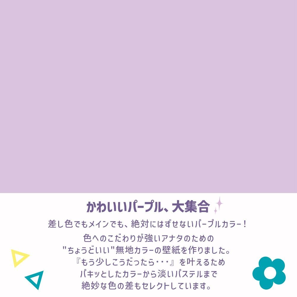 ぱーぷるページ AMBIDEX Store △〇丸胴天竺 フードBIGプルオーバー(F シロ
