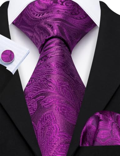 Image of Barry.Wang Paisley Tie Fashion Set Hanky Cufflinks Neckties for Men Woven Silk