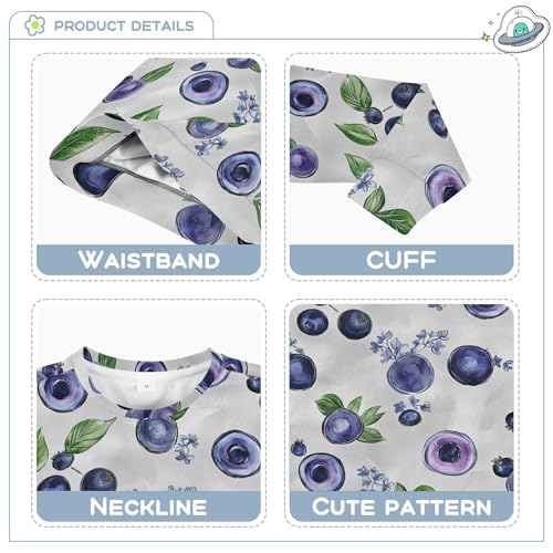 JUNZAN Art Blueberries Fruit Silver Kids Boys Sweatshirt Hoodie Fleece Boys Sweat Shirt Sports 4T3