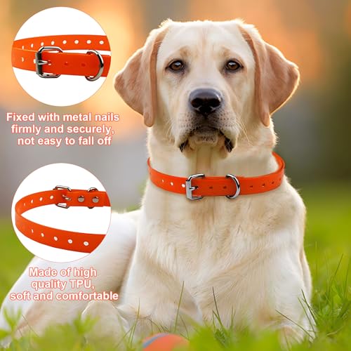 Détail de la boucle du collier orange pour chien