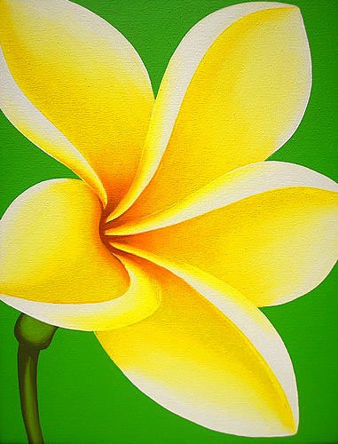 Amazon.co.jp: バリアート 絵画 L 縦 『プルメリア1輪』 白・黄