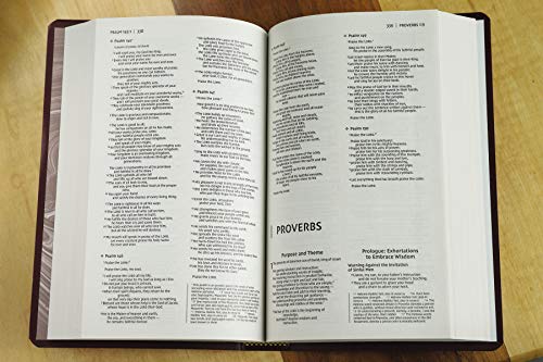 Image of Niv, Gift And Award Bible, Leather-Look, Burgundy, Red Lette
