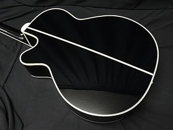 Amazon | Takamine TDP561C タカミネ エレアコ アコースティックギター