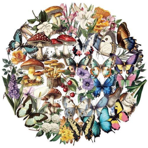 50Zbg ̂X ƒ RGR AƑ ȌW XebJ[ h fJ[   lC m[gp\R p\R Xm{ XP[g{[h ו X[cP[X M^[  X}zP[X XP{[ J[ ] oCN w