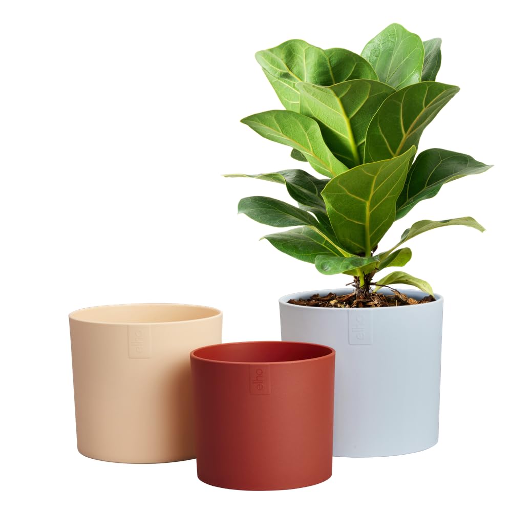 elho Lex Pott set of 3 - Plant Pots Indoor - 100% Recycled Plastic - diameter 11, 13 and 14 cm - Blue/Sky Blue - Image 3