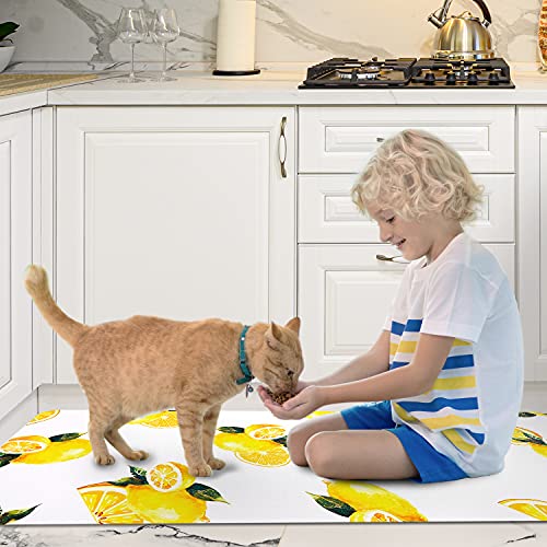 Rosielily Lemon Kitchen Rugs And Mats Set Of 2, Anti Fatigue Floor Mat thumb #5