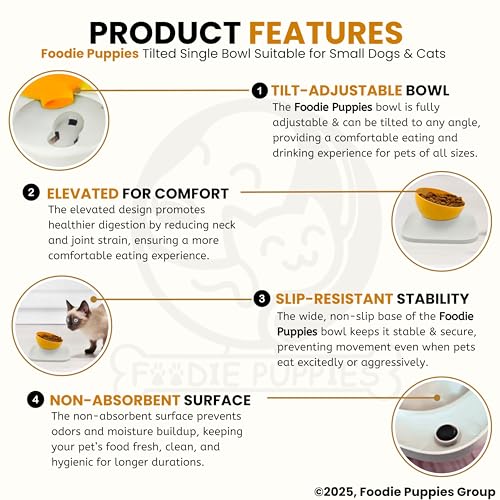 Image of Foodie Puppies Cat Food Bowl with Stand - (Orange, 500ml) Tilted Bowl Food and Water Drinking Feeder Bowl with Non-Skid Base and Easy-to-Clean Design | Suitable for Cats, Puppies and Small Dogs