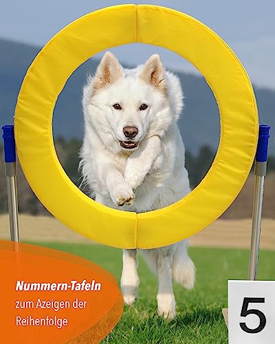 SPORTIKEL24 Nummerntafeln 1–25 – wetterfeste Kunststoff-Dreieckstafeln – 10 x 15 cm – für Agility, Parcours & Turniere