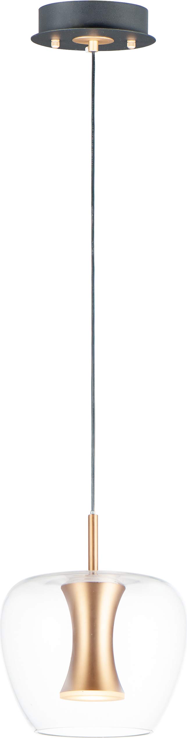ET2E24162-18BKGLD Newton Clear Glass Apple LED Pendant Ceiling Lighting, 1-Light 9 Watt, 10" H x 9" W, Black/Gold