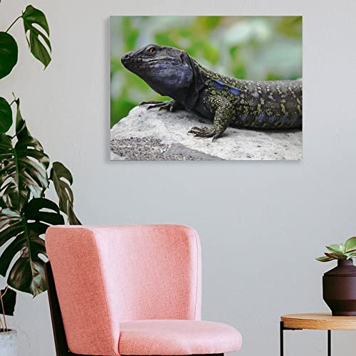 Art Posters Animal Black Lizard Wall Posters Wall Art Paintings Canvas Wall Decor Home Decor Living Room Decor Aesthetic Prints 24X32Inch(60X80Cm) Frame-Style #TOP3