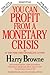 You Can Profit From A Monetary Crisis