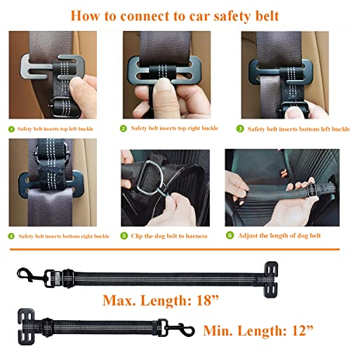 Dog Seat Belt For Car, Pet Harness Safety Belt For Pickups Trucks Adjustable Length Work With Car Existing Belt |Freedom& Security| Black - 1 Pack #TOP5