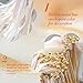 50Pcs Ribbon Sticks Wands Streamers with Bells Silk Fairy Stick Party Ribbon Streamers for Wedding Party, Birthday and Holiday Activities(White)-Champagne