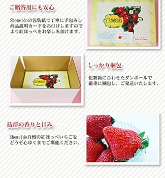 いちごメロン♪ページです。 Amazon.co.jp: 静岡産紅ほっぺ特大いちご 12or15粒入 : 食品