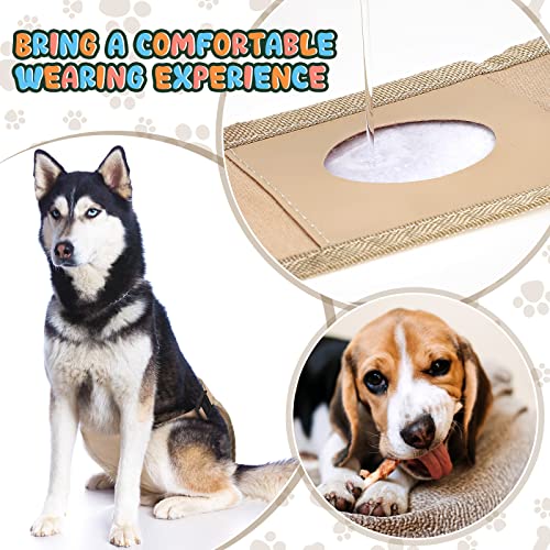 2er Packung Hündinnen Läufigkeitshose Waschbare Schutzhöschen Wiederverwendbare Hundewindeln Hundehose mit 6 Damenbinde Verstellbare Schutzhose für Weibchen Hunde Läufigkeit (XXL)
