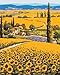Produktbild Iejsgfj DIY Ölgemälde Malen Nach Zahlen für Erwachsene Kinder Kein Rahmen Goldene Sonnenblume Gemälde auf Leinwand Kits paintworks Geschenk Freizeit Wand Kunst Home Dekor