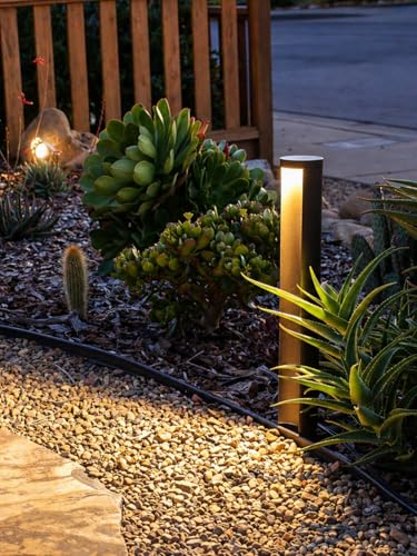 Image of LEONLITE 12-Pack 5CCT Anti-Glare Low Voltage Landscape Lights, 12-24V AC /DC