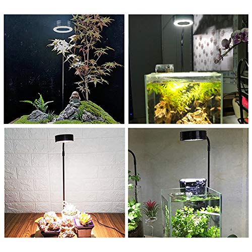 QWLWBU LED Aquarium Light 360 Degree Full Spectrum LED Light with Bamboo Board 10W Nano Fish Tank Light USB Powered Flat Nano Aquarium Light Bett a Fish Tank Light for Plant Growth by QWLWBU - Image 4