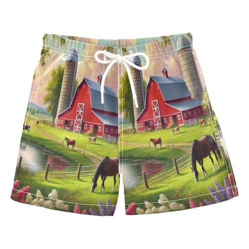 Farm Red Barn Boys Swim Trunks Quick Dry Toddler Swimsuit Boy Swimwear Bathing Suits Board Shorts 3T