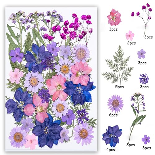 35 piezas flores secas prensadas naturales para manualidades miniatura 2