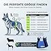 Nature Pet © - Tragehilfe Hund hinten - Verstellbarer Hunde Tragegurt als Treppenhilfe - Ideal für ältere, kranke oder operierte Vierbeiner - Praktische Unterstützung für Mobilität (L, Schwarz)