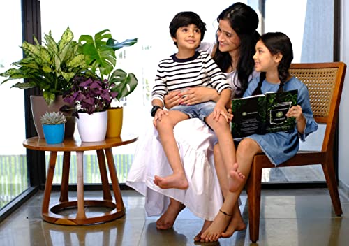 Image of Harshdeep Flower Pots for Living Room - Valencia - Indoor Outdoor Home Garden Decorative Round Plastic Plant Container 8 Inch Set of 4 (Yellow)