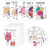 Karteikarten zur menschlichen Anatomie – Visueller Studienführer für Krankenpflege und Prüfungsvorbereitung, Karten zur Anatomie des menschlichen Körpersystems mit beschrifteten Diagrammen (30Pcs)
