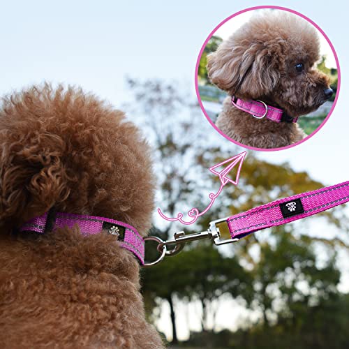 Nestroad Reflective Dog Collar For Puppy,2 Pack Adjustable Dog Collars With Quick Release Buckle, Soft Neoprene Padded Pet Collar For Small Dogs(X-Small Collars,Rose Red) #TOP5