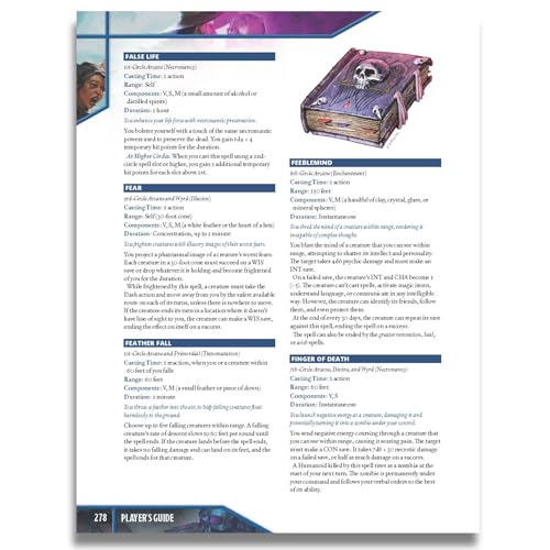 Image of Tales of the Valiant: Player's Guide