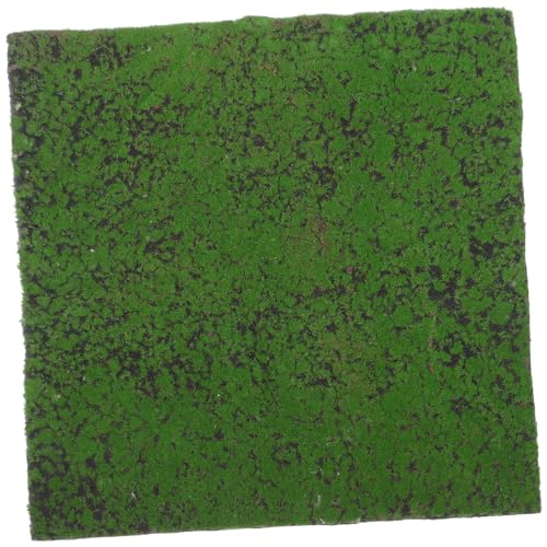 Peceras Pequeñas de Plastico Marca Gatuida