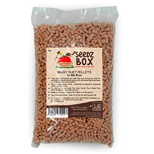 Suet Pellets Wild Bird Food 1kg - Berry Suet Pellets For Wild Birds - Attracts Woodpeckers Blackbirds Robins Jays and Wrens