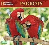Parrots National Geographic 2016 Wall Calendar