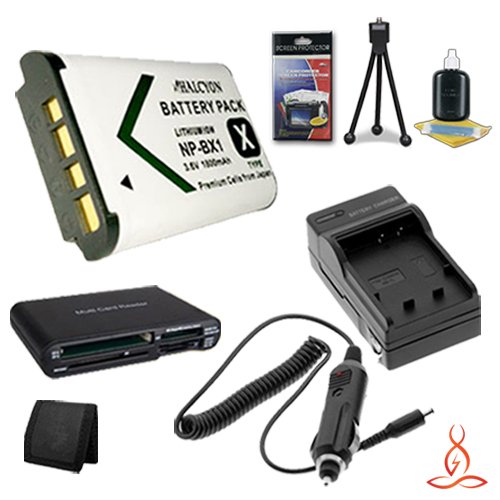 Buy Halcyon 1800 mAH Lithium Ion Replacement NPBX1 Battery and Charger Kit + Memory Card Wallet
