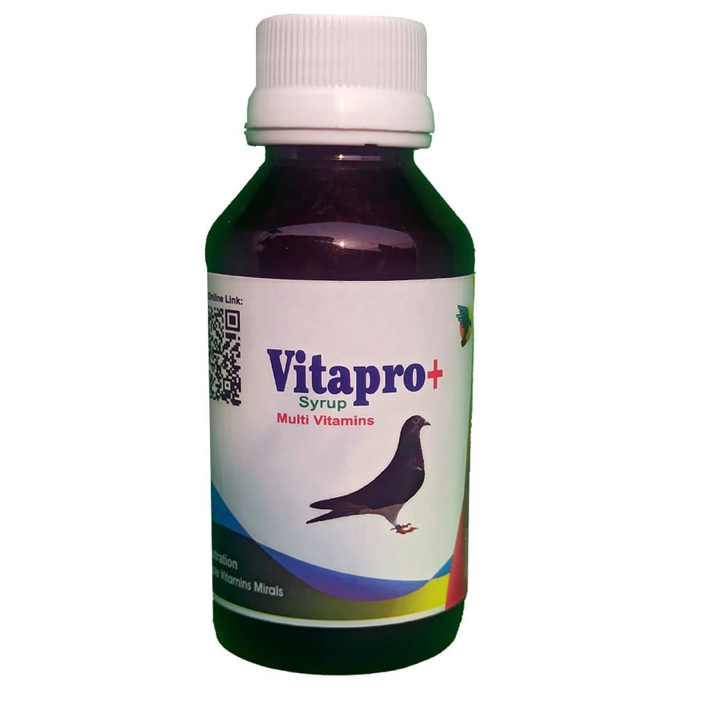 VITAPRO+ Pigeon Multi Vitamins Syrup || All The shortcomings of The Pigeon Will be Fulfilled || Pigeon Medicine || Kabutar Medicine || Bird Medicine (250.ml) (B0BX4CYM2W) Amazon Price History, Amazon Price Tracker