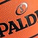 Spalding Varsity TF-150 Outdoor Basketball 27.5