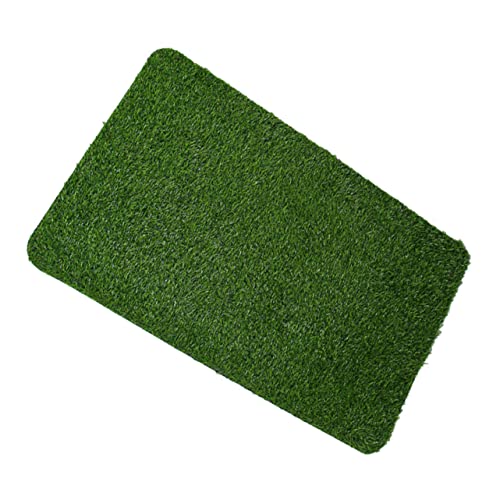 TINEASUR Ő}bg ŐEFJ}bg Ōփ}bg O+ g+hA+~ entrance mat door mat lHŃ}bg tFCNOXփhAO vX`bN