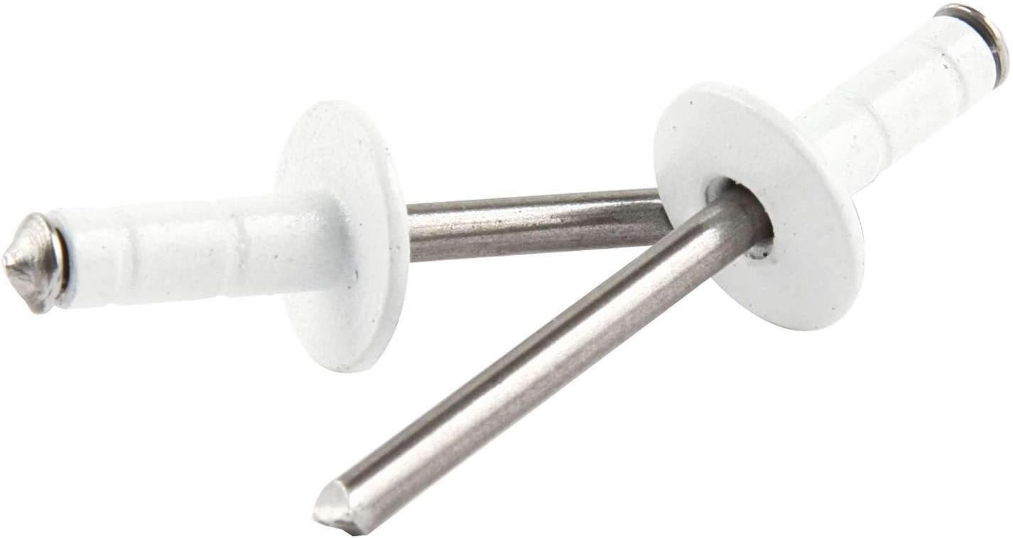 Allstar PerformanceAllstar ALL18092 White 1/16" to 3/8" Range Multi-Grip Style Medium Head Rivet with Steel Mandrel, (Pack of 250)