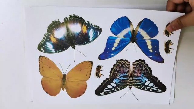 Decalcomanie Statiche Per Finestre A Forma Di Farfalla – 4 Pezzi, Proteggi Uccelli, Prodotte Negli USA - Foto 3