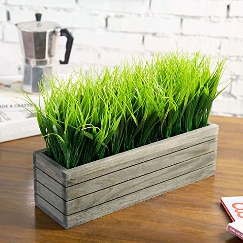 Encuentra la mejor selección de Venta de plantas artificiales de esta semana. 12 Imagen adicional