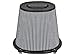 aFe Power 21-90103 QUANTUM Intake Replacement Air Filter w/Pro DRY S Media