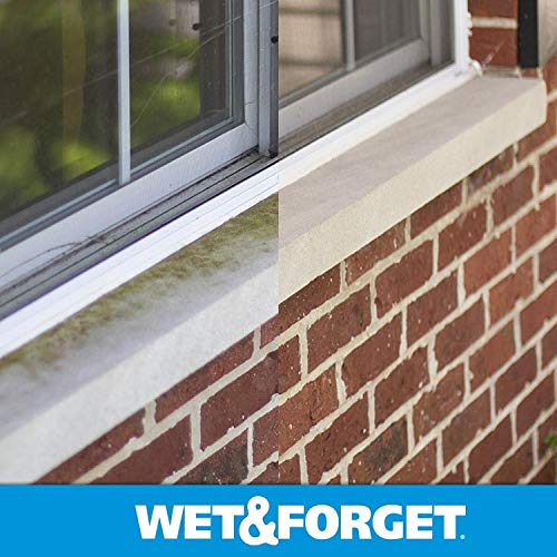Wet & Forget E804073 Outdoor Moss, Mold, Mildew, & Algae Stain Remover Multi-Surface Cleaner thumb #1