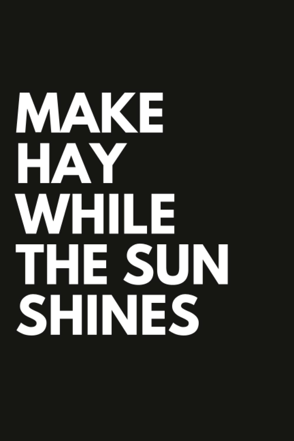 Make Hay While The Sun Shines: Motivational Positive Quote Lined Inspirational Notebook / Diary / Journal Business Office Gift for Coworker Friend